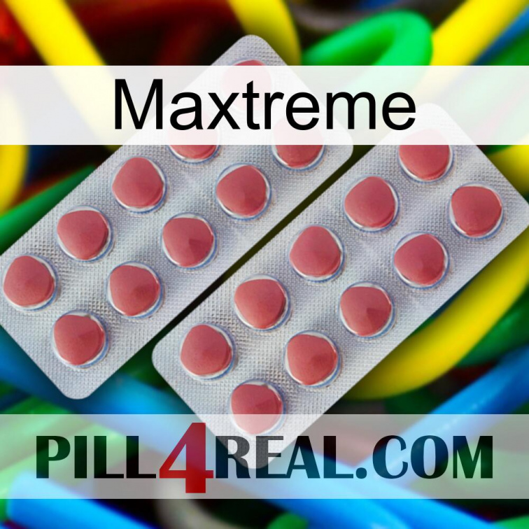 Maxtreme 19